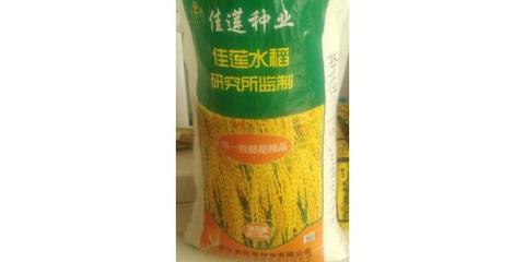 廠家批發(fā)水稻種子 水稻種子 農(nóng)作物高產(chǎn)抗病強種子