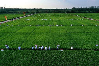 強信心&middot;走進(jìn)百企|用技術(shù)創(chuàng)新守牢種業(yè)&ldquo;中國芯&rdquo;