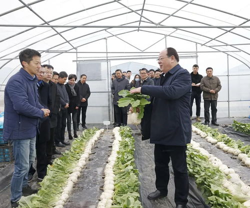 彭佳學(xué)調(diào)研 三農(nóng) 工作鳳凰網(wǎng)寧波