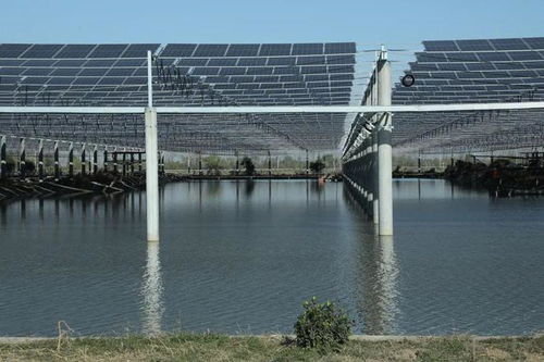 成功簽約建設(shè)贛榆特色現(xiàn)代化設(shè)施漁業(yè)低零碳園區(qū)，助力種業(yè)發(fā)展新篇章