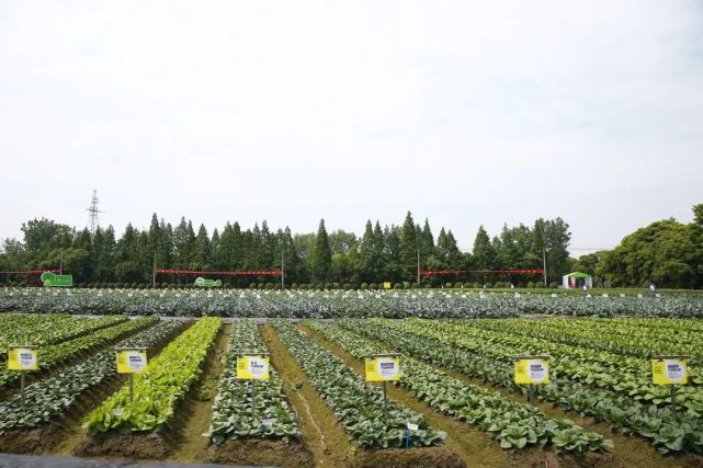 2022浙江種業(yè)博覽會明日盛大開幕，助推現(xiàn)代種業(yè)創(chuàng)新發(fā)展