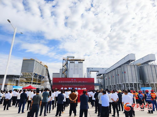 甘肅農(nóng)墾亞盛種業(yè)中墾玉種子加工廠在張掖落成，助力種業(yè)現(xiàn)代化發(fā)展