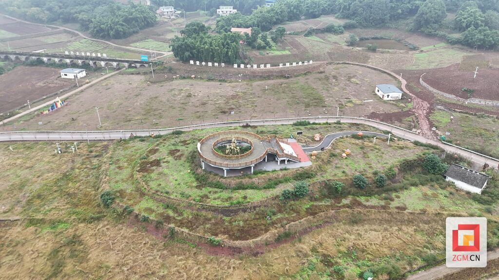 永安鎮(zhèn)大豆種業(yè)基地豐收喜人，2000畝油菜輪種續(xù)寫豐收篇章