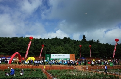 2019云南蔬菜種業(yè)博覽會(huì)開幕，推動(dòng)種業(yè)創(chuàng)新與蔬菜產(chǎn)業(yè)升級(jí)