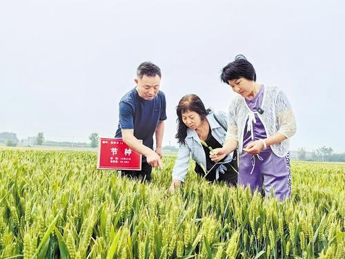 國家級(jí)展會(huì)賦能，洞見中國種業(yè)發(fā)展的新機(jī)遇