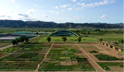蒙草生態(tài)上市十周年 以種業(yè)為本，科研當(dāng)先，深耕生態(tài)修復(fù)的“中國草”